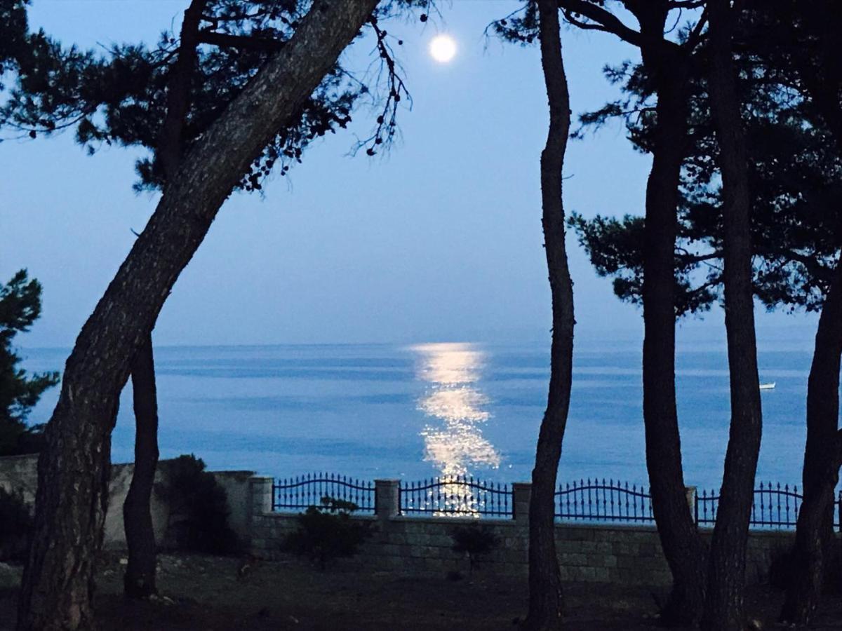 Vera Seafront * Sumartin